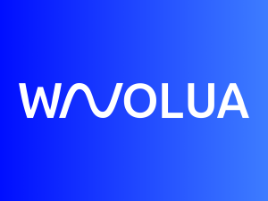 01h de Desenvolvimento e/ou Manutenção para Site WordPress